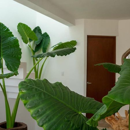 Recamara 5 Tulum Apartment แคนคูน ภายนอก รูปภาพ